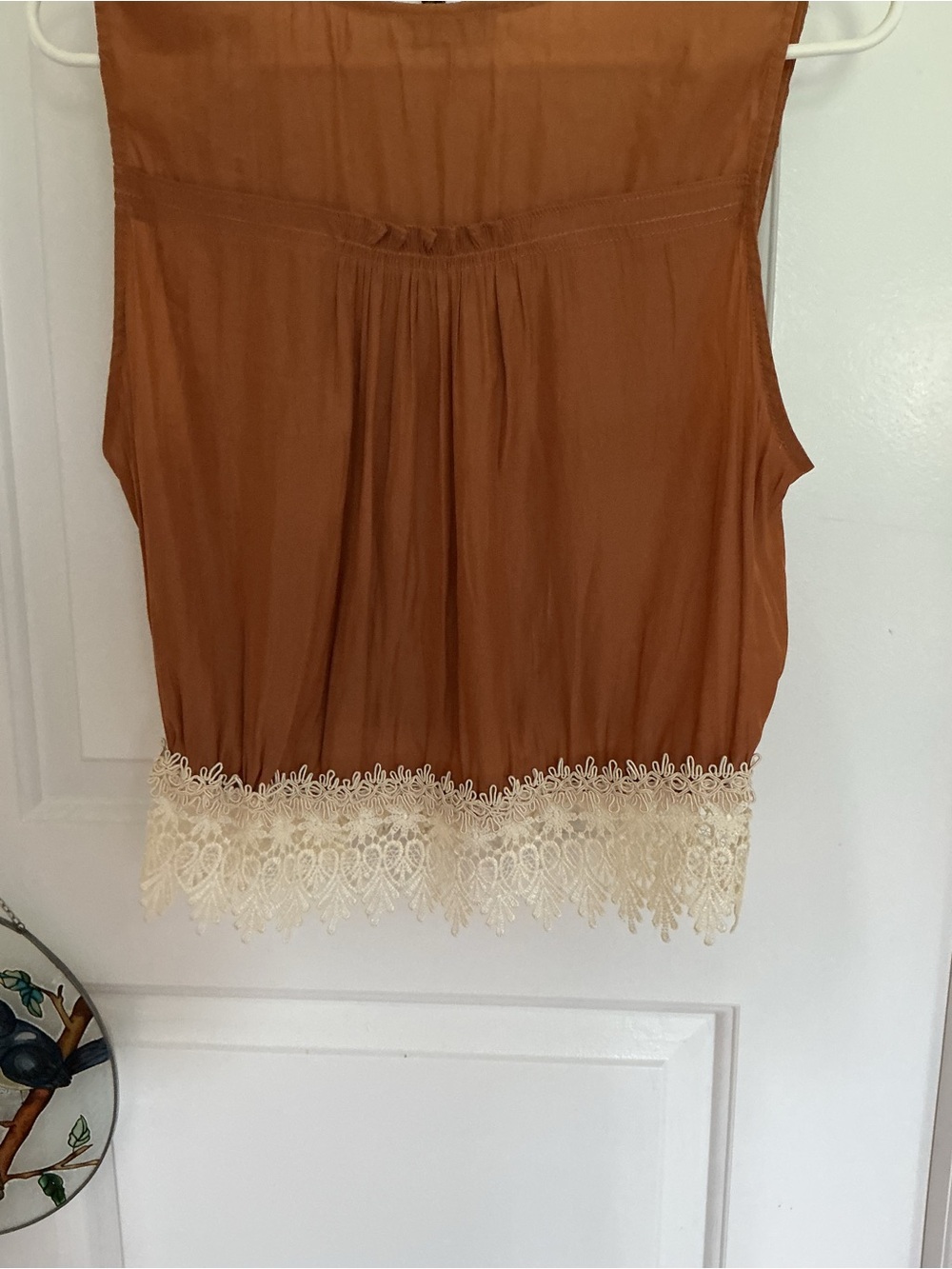 Ramy Brook Rust Lace-Hem Sleeveless Top - Picture 5 of 9